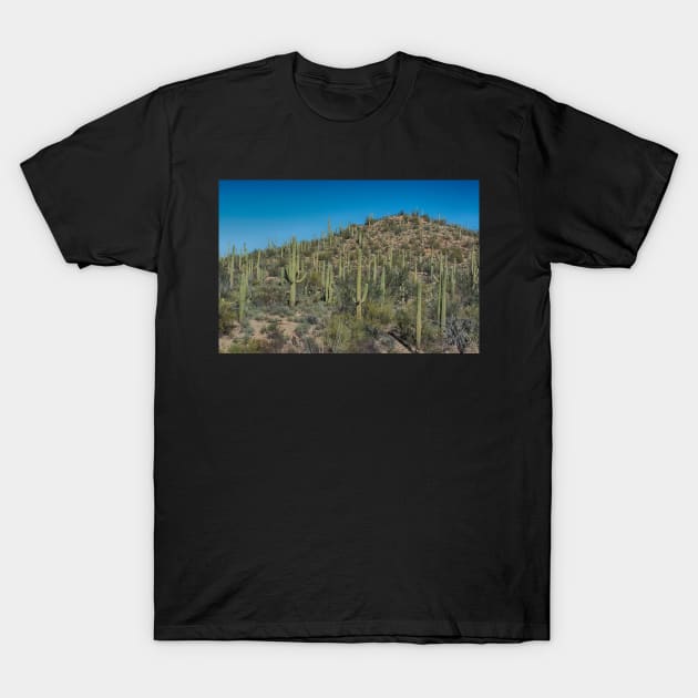 Saguaro National Park Tucson T-Shirt by Imagery